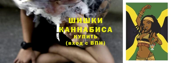 дурь Бронницы