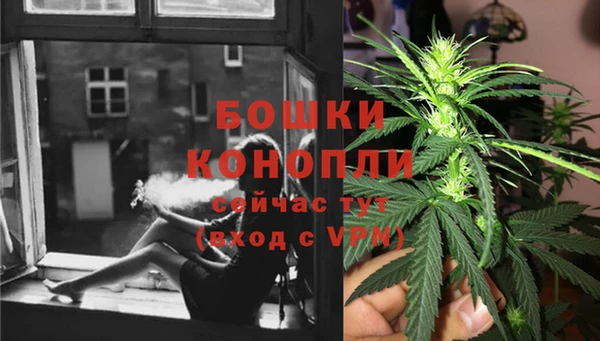 дурь Бронницы